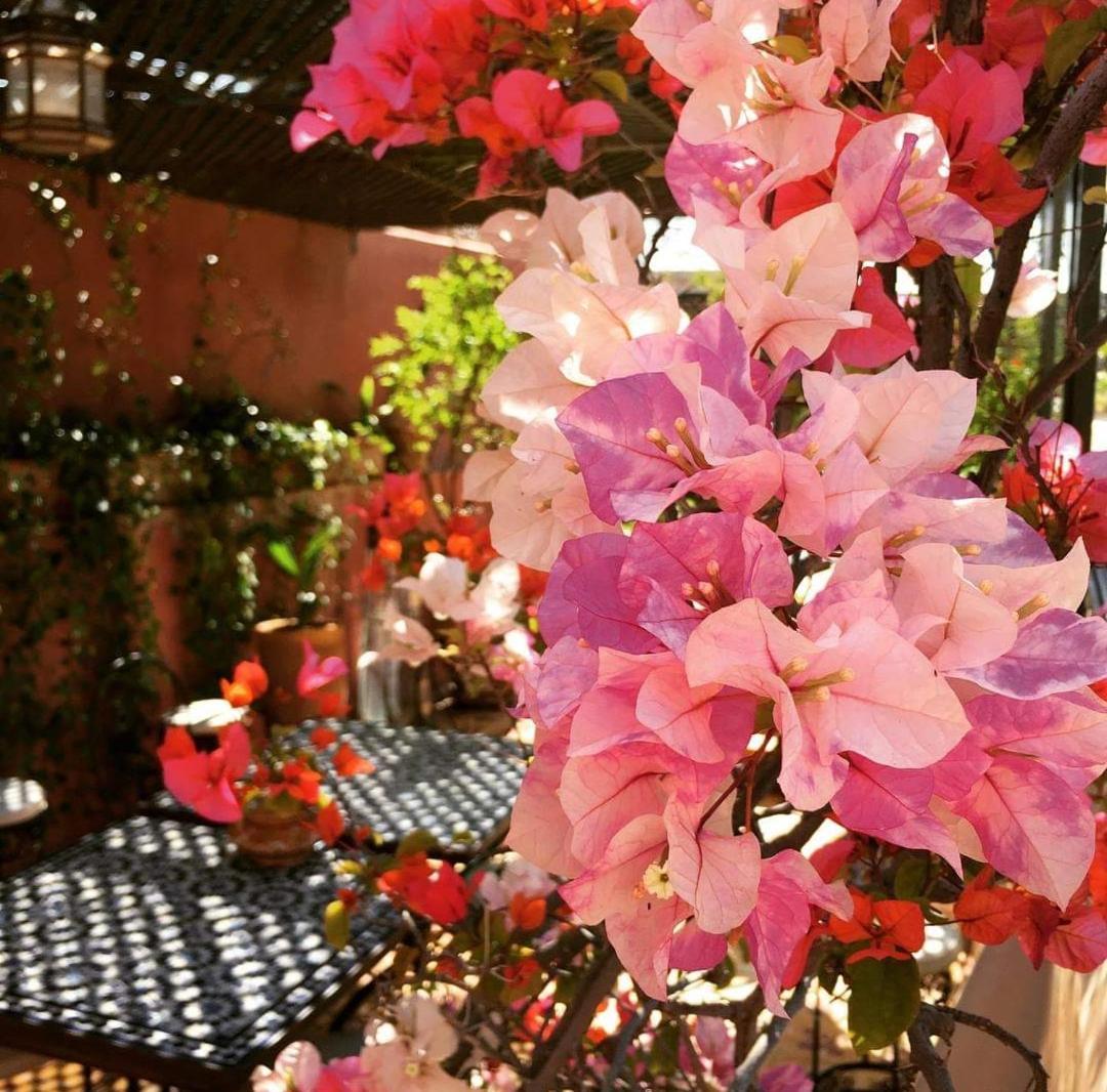 Riad Green Lotus Marrakesh Eksteriør billede